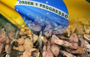 En este momento, los permisos para ingresar pescado fresco proveniente de Uruguay al mercado brasileño demoran hasta 15 días.