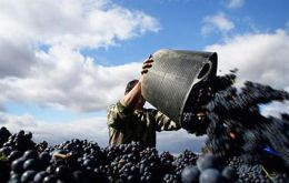 China cubre el 80% de la demanda con producción doméstica 